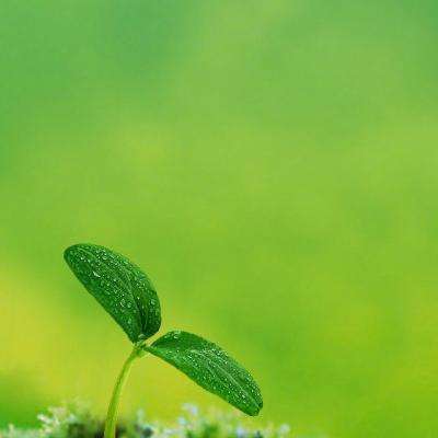 天硕(TOPSSD)解析：存储介质的分...