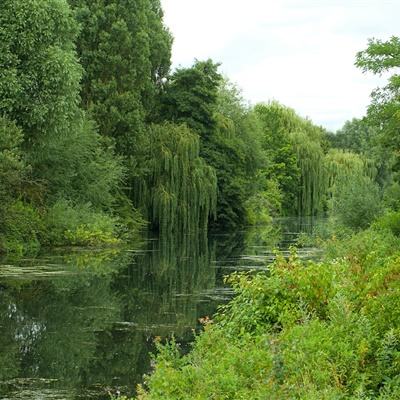 周杰伦新专辑带火冷门T恤