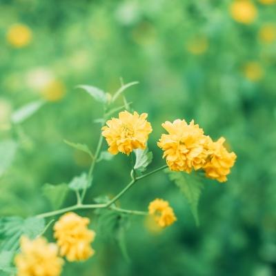 开源体育官网入口登录官方版